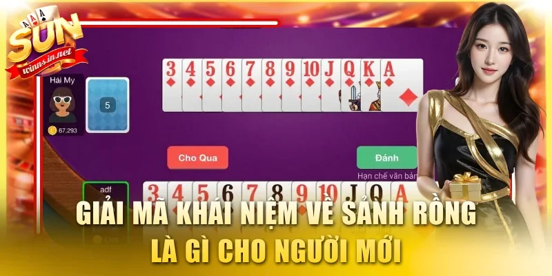 Giải mã khái niệm về Sảnh Rồng là gì cho người mới